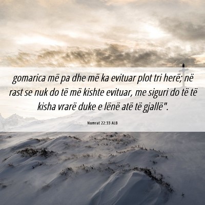 Picture 06 - Numrat 22:33 ALB - gomarica më pa dhe më ka evituar plot tri - Bible Verse Picture