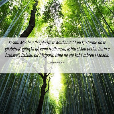 Picture 06 - Numrat 22:4 ALB - Kështu Moabi u tha pleqve të Madianit: 