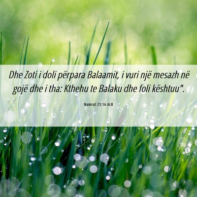 Picture 06 - Numrat 23:16 ALB - Dhe Zoti i doli përpara Balaamit, i vuri një - Bible Verse Picture