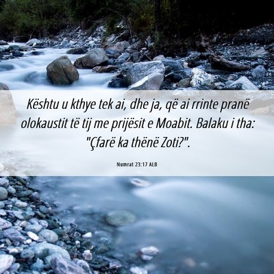 Picture 06 - Numrat 23:17 ALB - Kështu u kthye tek ai, dhe ja, që ai rrinte - Bible Verse Picture