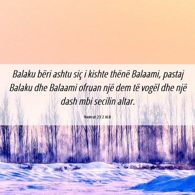 Picture 06 - Numrat 23:2 ALB - Balaku bëri ashtu siç i kishte thënë Balaami, - Bible Verse Picture