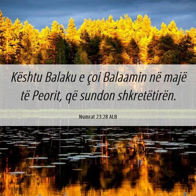 Picture 06 - Numrat 23:28 ALB - Kështu Balaku e çoi Balaamin në majë të - Bible Verse Picture