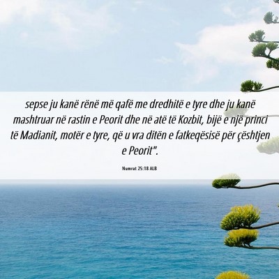 Picture 06 - Numrat 25:18 ALB - sepse ju kanë rënë më qafë me dredhitë e - Bible Verse Picture