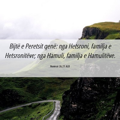 Picture 06 - Numrat 26:21 ALB - Bijtë e Peretsit qenë: nga Hetsroni, familja e - Bible Verse Picture