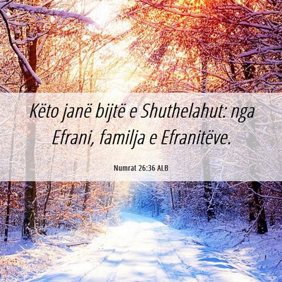Picture 06 - Numrat 26:36 ALB - Këto janë bijtë e Shuthelahut: nga Efrani, - Bible Verse Picture