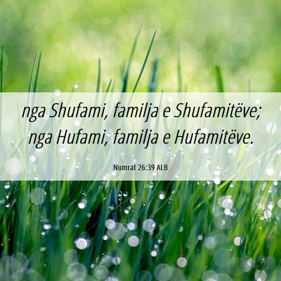 Picture 06 - Numrat 26:39 ALB - nga Shufami, familja e Shufamitëve; nga Hufami, - Bible Verse Picture