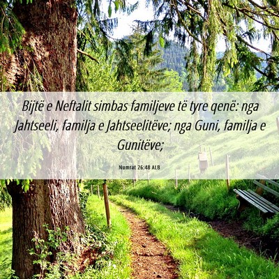 Picture 06 - Numrat 26:48 ALB - Bijtë e Neftalit simbas familjeve të tyre - Bible Verse Picture