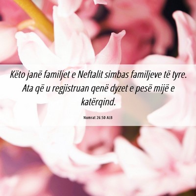 Picture 06 - Numrat 26:50 ALB - Këto janë familjet e Neftalit simbas familjeve - Bible Verse Picture