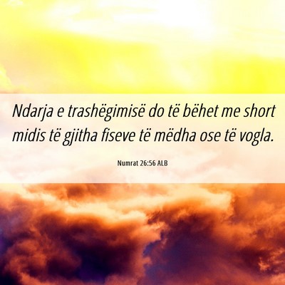 Picture 06 - Numrat 26:56 ALB - Ndarja e trashëgimisë do të bëhet me short - Bible Verse Picture