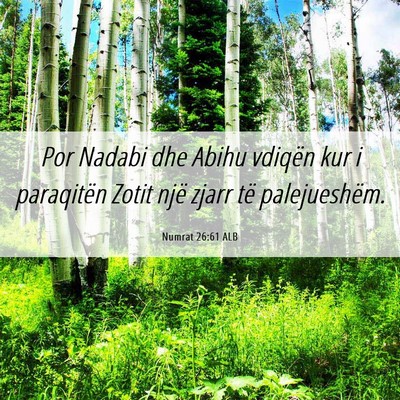 Picture 06 - Numrat 26:61 ALB - Por Nadabi dhe Abihu vdiqën kur i paraqitën - Bible Verse Picture