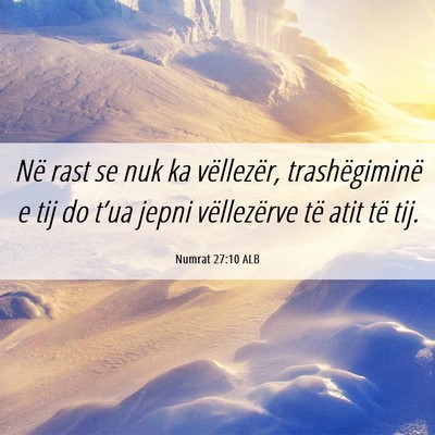 Picture 06 - Numrat 27:10 ALB - Në rast se nuk ka vëllezër, trashëgiminë e - Bible Verse Picture