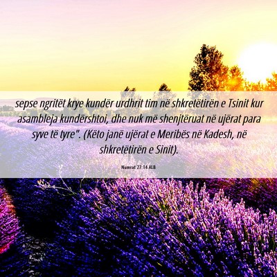 Picture 06 - Numrat 27:14 ALB - sepse ngritët krye kundër urdhrit tim në - Bible Verse Picture