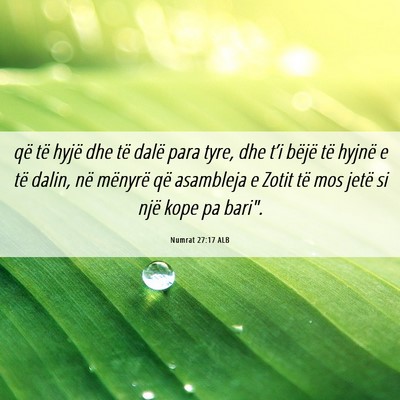 Picture 06 - Numrat 27:17 ALB - që të hyjë dhe të dalë para tyre, dhe t’i - Bible Verse Picture