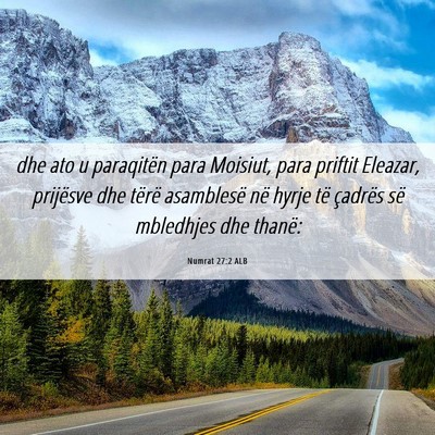 Picture 06 - Numrat 27:2 ALB - dhe ato u paraqitën para Moisiut, para priftit - Bible Verse Picture