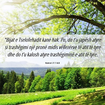 Picture 06 - Numrat 27:7 ALB - 