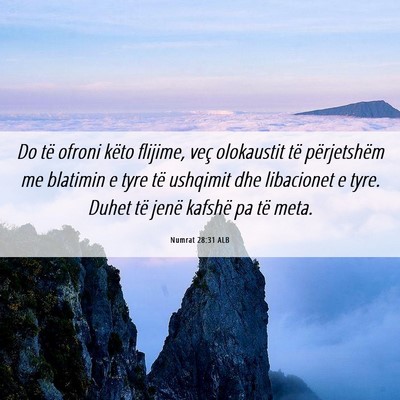Picture 06 - Numrat 28:31 ALB - Do të ofroni këto flijime, veç olokaustit të - Bible Verse Picture