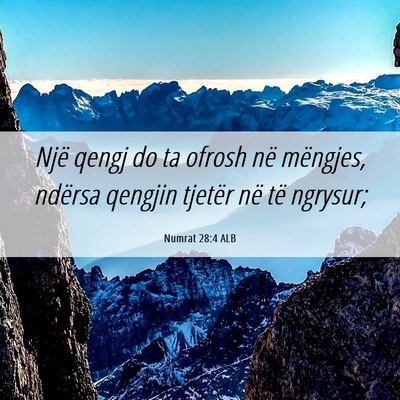 Picture 06 - Numrat 28:4 ALB - Një qengj do ta ofrosh në mëngjes, ndërsa - Bible Verse Picture