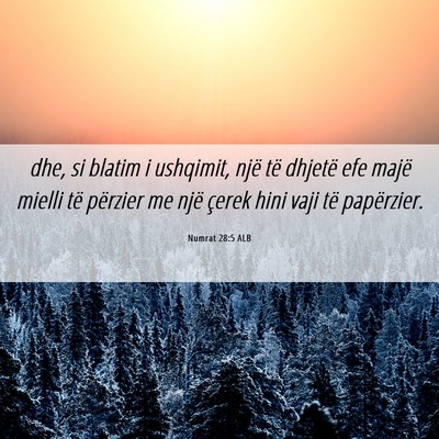 Picture 06 - Numrat 28:5 ALB - dhe, si blatim i ushqimit, një të dhjetë efe - Bible Verse Picture