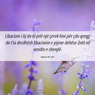 Picture 06 - Numrat 28:7 ALB - Libacioni i tij do të jetë një çerek hini - Bible Verse Picture