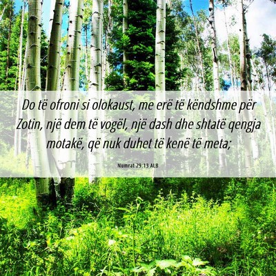 Picture 06 - Numrat 29:13 ALB - Do të ofroni si olokaust, me erë të këndshme - Bible Verse Picture