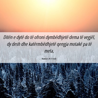 Picture 06 - Numrat 29:17 ALB - Ditën e dytë do të ofroni dymbëdhjetë dema - Bible Verse Picture