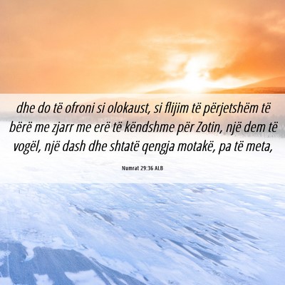 Picture 06 - Numrat 29:36 ALB - dhe do të ofroni si olokaust, si flijim të - Bible Verse Picture