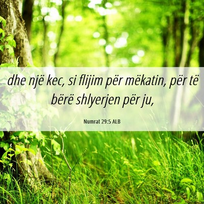Picture 06 - Numrat 29:5 ALB - dhe një kec, si flijim për mëkatin, për të - Bible Verse Picture