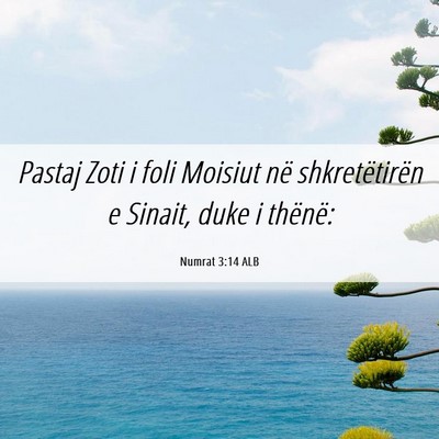 Picture 06 - Numrat 3:14 ALB - Pastaj Zoti i foli Moisiut në shkretëtirën e - Bible Verse Picture