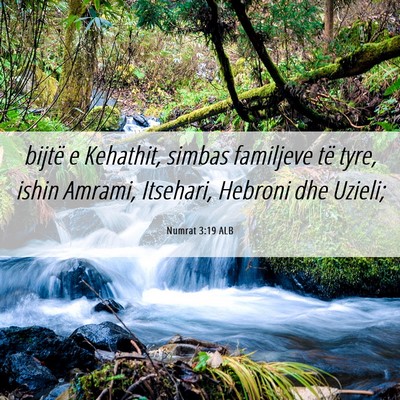 Picture 06 - Numrat 3:19 ALB - bijtë e Kehathit, simbas familjeve të tyre, - Bible Verse Picture