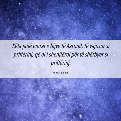Picture 06 - Numrat 3:3 ALB - Këta janë emrat e bijve të Aaronit, të - Bible Verse Picture