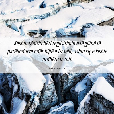 Picture 06 - Numrat 3:42 ALB - Kështu Moisiu bëri regjistrimin e të gjithë - Bible Verse Picture
