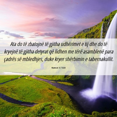 Picture 06 - Numrat 3:7 ALB - Ata do të zbatojnë të gjitha udhëzimet e tij - Bible Verse Picture