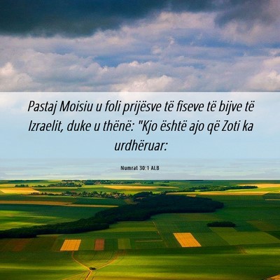 Picture 06 - Numrat 30:1 ALB - Pastaj Moisiu u foli prijësve të fiseve të - Bible Verse Picture