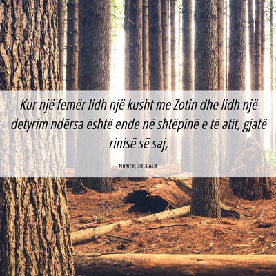 Picture 06 - Numrat 30:3 ALB - Kur një femër lidh një kusht me Zotin dhe lidh - Bible Verse Picture