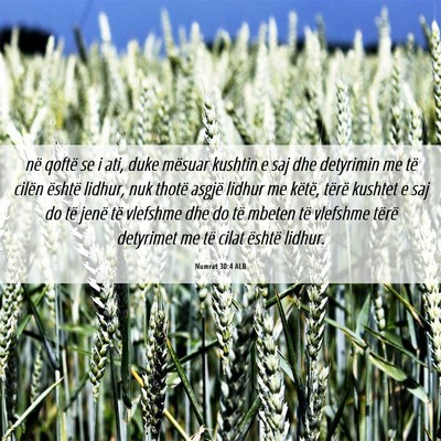 Picture 06 - Numrat 30:4 ALB - në qoftë se i ati, duke mësuar kushtin e saj - Bible Verse Picture