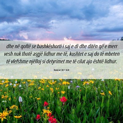 Picture 06 - Numrat 30:7 ALB - dhe në qoftë se bashkëshorti i saj e di dhe - Bible Verse Picture