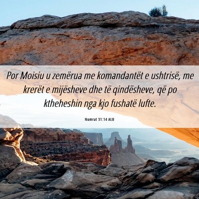 Picture 06 - Numrat 31:14 ALB - Por Moisiu u zemërua me komandantët e - Bible Verse Picture