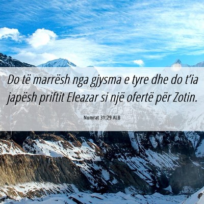 Picture 06 - Numrat 31:29 ALB - Do të marrësh nga gjysma e tyre dhe do t’ia - Bible Verse Picture