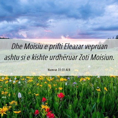 Picture 06 - Numrat 31:31 ALB - Dhe Moisiu e prifti Eleazar vepruan ashtu si e - Bible Verse Picture