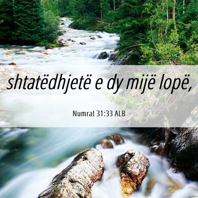 Picture 06 - Numrat 31:33 ALB - shtatëdhjetë e dy mijë - Bible Verse Picture