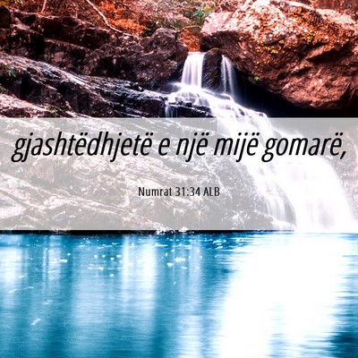 Picture 06 - Numrat 31:34 ALB - gjashtëdhjetë e një mijë - Bible Verse Picture