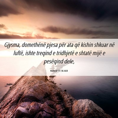 Picture 06 - Numrat 31:36 ALB - Gjysma, domethënë pjesa për ata që kishin - Bible Verse Picture