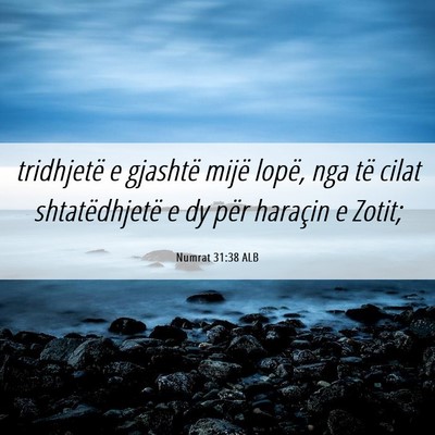 Picture 06 - Numrat 31:38 ALB - tridhjetë e gjashtë mijë lopë, nga të cilat - Bible Verse Picture