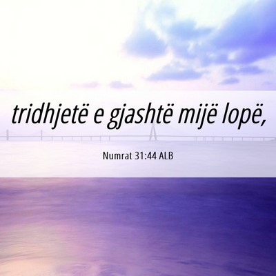 Picture 06 - Numrat 31:44 ALB - tridhjetë e gjashtë mijë - Bible Verse Picture