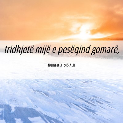 Picture 06 - Numrat 31:45 ALB - tridhjetë mijë e pesëqind - Bible Verse Picture