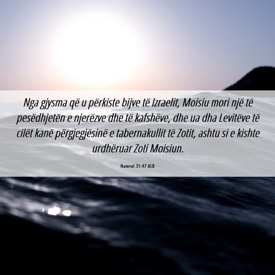 Picture 06 - Numrat 31:47 ALB - Nga gjysma që u përkiste bijve të Izraelit, - Bible Verse Picture