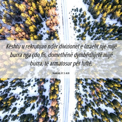 Picture 06 - Numrat 31:5 ALB - Kështu u rekrutuan ndër divizionet e Izraelit - Bible Verse Picture
