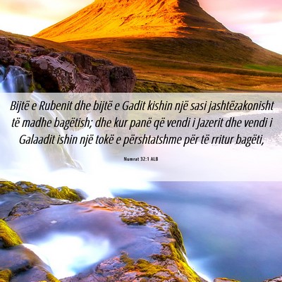 Picture 06 - Numrat 32:1 ALB - Bijtë e Rubenit dhe bijtë e Gadit kishin një - Bible Verse Picture