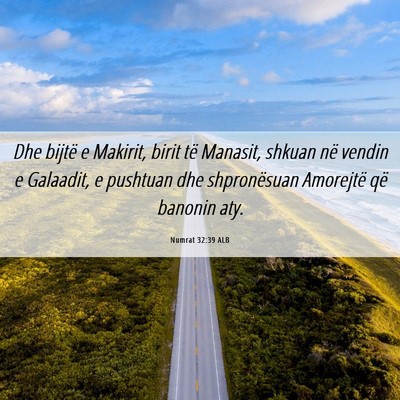 Picture 06 - Numrat 32:39 ALB - Dhe bijtë e Makirit, birit të Manasit, shkuan - Bible Verse Picture