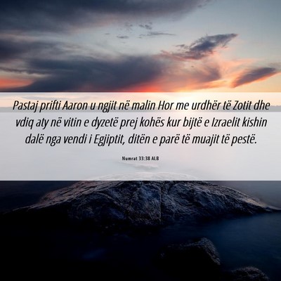 Picture 06 - Numrat 33:38 ALB - Pastaj prifti Aaron u ngjit në malin Hor me - Bible Verse Picture